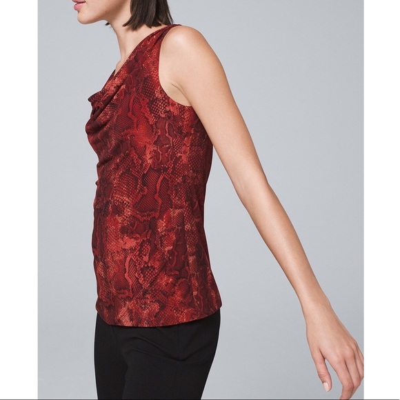 White House Black Market | Python-Print Top - Picture 2 of 16